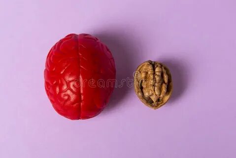 Почему орехи похожи на мозг