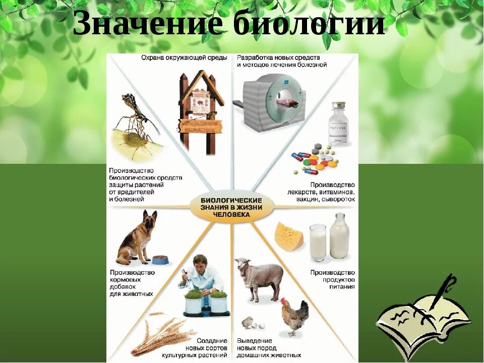 Биологическая наука в жизни человека