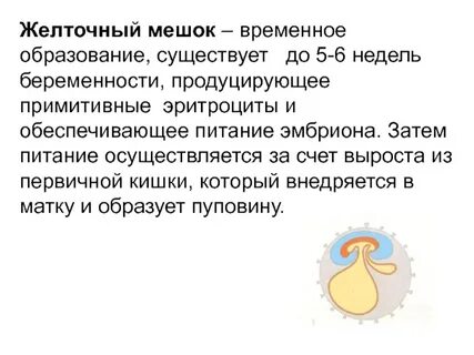 Желтый мешок при беременности