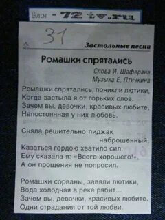 Караоке ромашки спрятались поникли