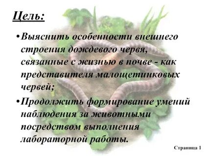 Замечательная особенность этого червя состоит в том