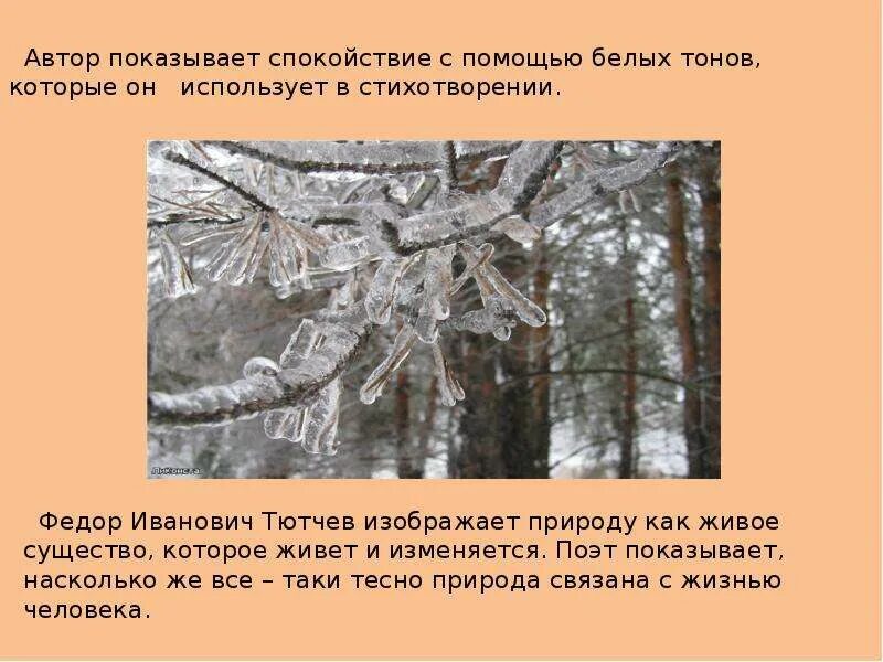 Каким образом была связана с природой. Поэты 19 века о родине и родной природе. Стихи о природе 19 века. Родная природа в поэзии поэтов 20 века". Стихи поэтов 19 века о родине.