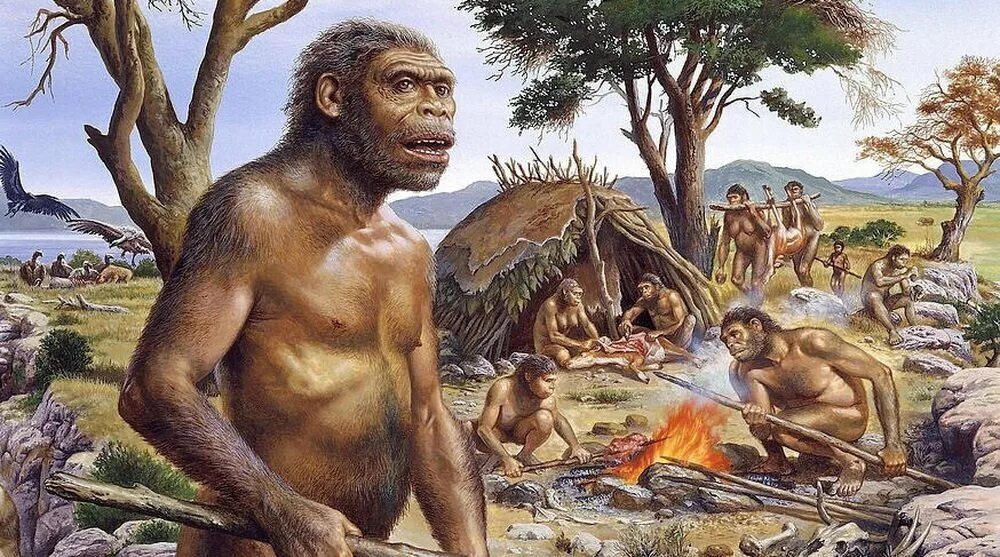 Первобытная пища. Человек прямоходящий homo Erectus. Архантропы (homo Erectus). Хомо хабилис эпоха. Хомо хабилис хомо Эректус.