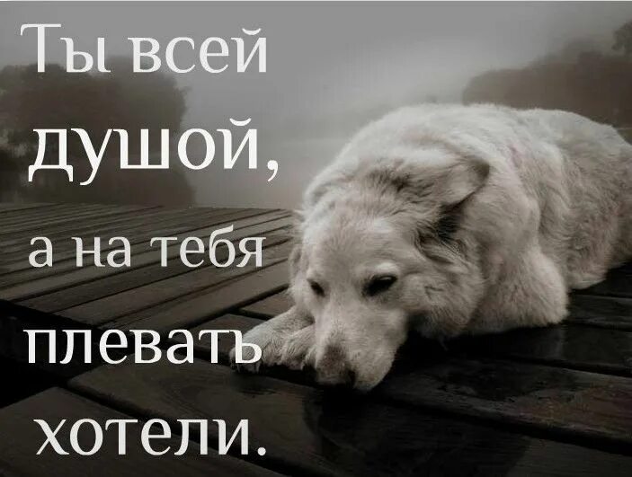 Скучаю по бывшему картинки