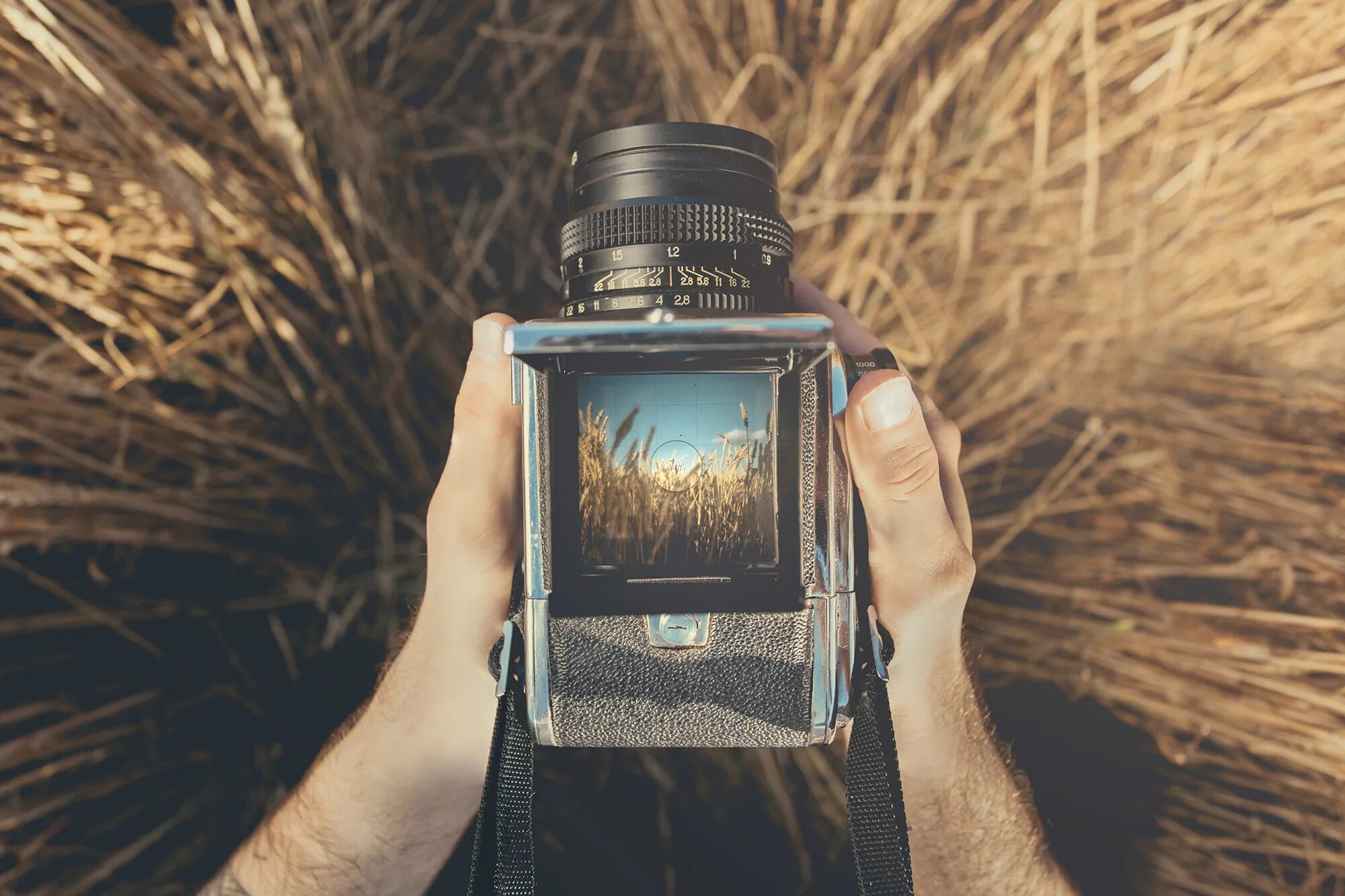 Medium format Camera пленка. Средний Формат пленка. Средний Формат фотоаппараты. Средний Формат камеры.