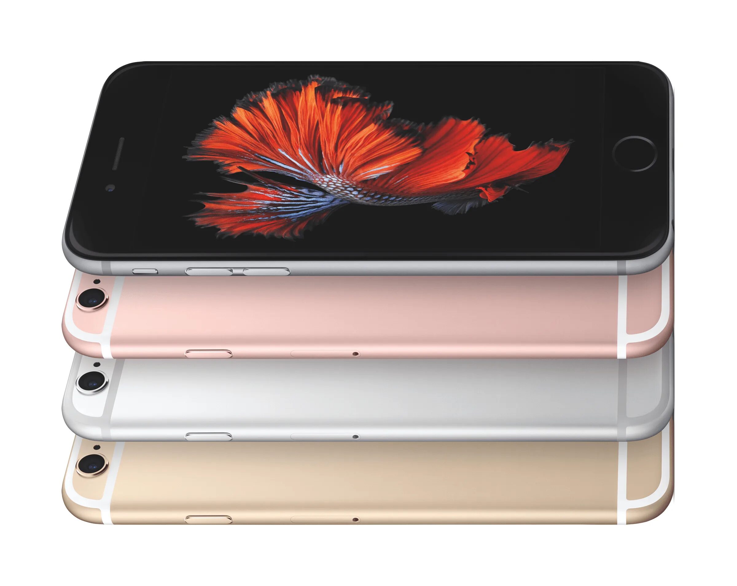 Iphone 6s год. Apple iphone 6s. apple iphone 6. iphone 6s 16gb. iphone 6s plus.