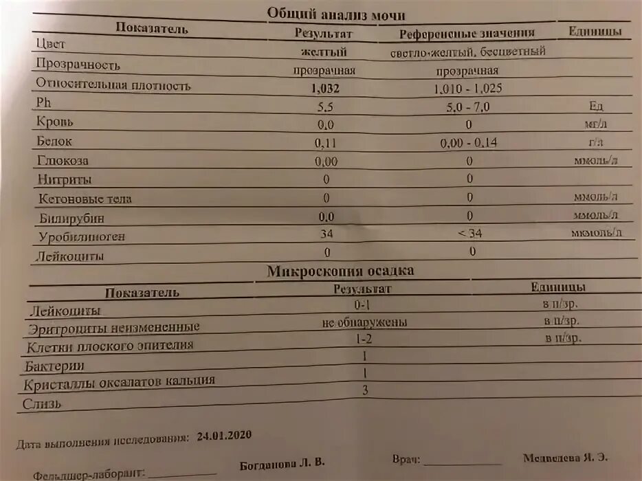 Микроскопическое исследование мочи норма. Исследование мочи микроскопия осадка нормы. Микроскопическое исследование осадка мочи норма. Микроскопия осадка мочи норма.