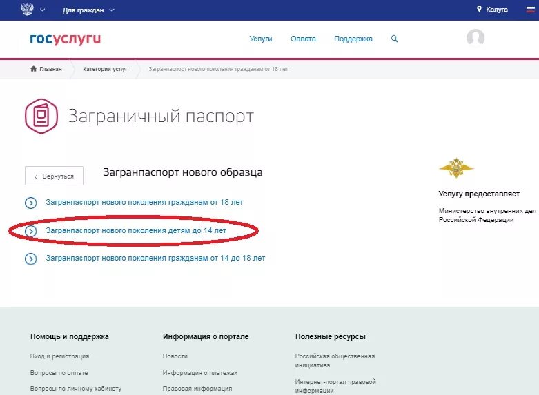 Госуслуги оформить ребенка. Как внести новый загранпаспорт в госуслугах. госуслуги загранпаспорт. загранник через госуслуги. как записаться на выдачу загранпаспорта через госуслуги.