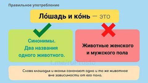 Синоним к слову кони взоры