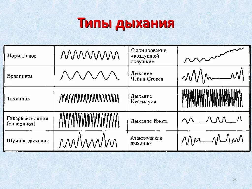 Формы нарушений ритма дыхания таблица. Ритм дыхания патологические типы дыхания. Характеристика типов дыхания. Типы периодического дыхания схема. Дыхание 5 групп