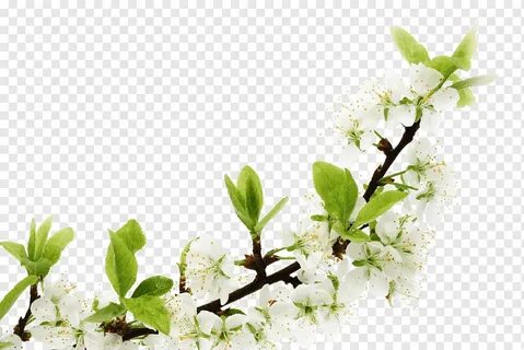 Благодатное лето синоним
