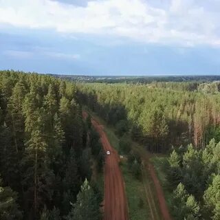 Жемчужина бора бузулук