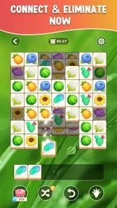 Nature match