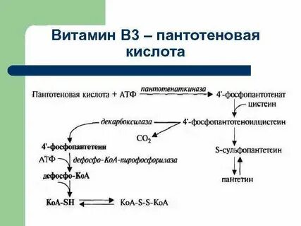 Биохимия 3