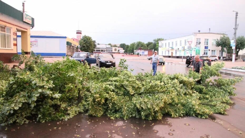 Острогожск перезахоронение. Юристы богучар. Погода в богучаре на неделю. Погода в богучаре воронежская на неделю. Богучарцы.