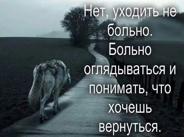 Я не вернусь как говорил когда то. Уйти цитаты. Просто уйти. Больно. Ушел из жизни.