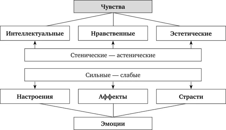 Высшие чувства есть у
