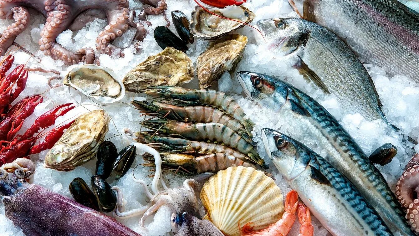 Рыба и морепродукты. Морские морепродукты. Морепродукты свежемороженые. Свежая рыба.