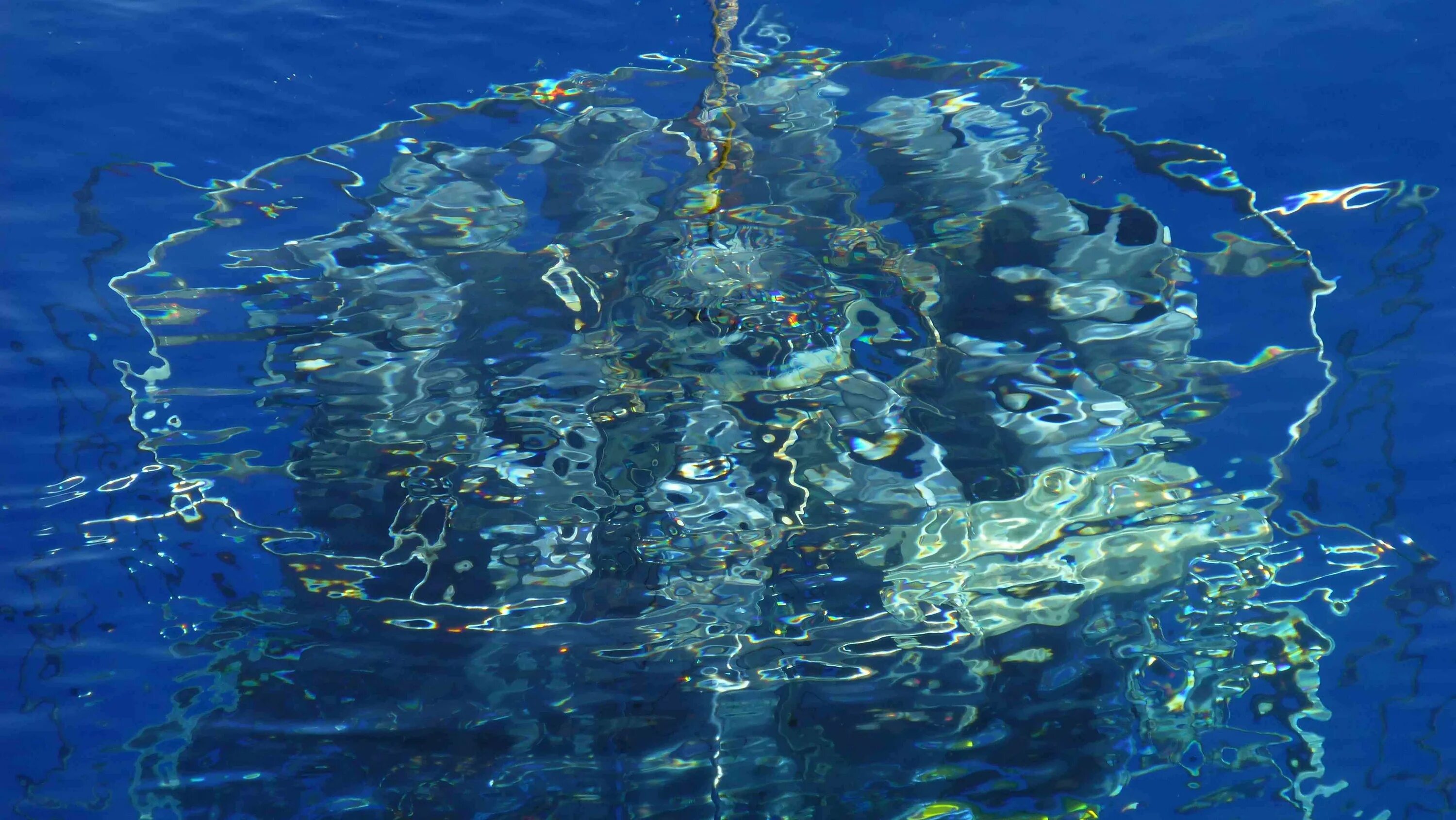 Стена в тихом океане. Атлантический океан Саргассово море. Саргассово море Бермудские острова. Саргассово море водоросли. Саргассово море ламинария.
