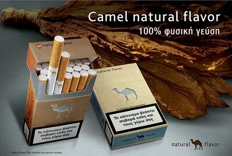 Green camel отзывы