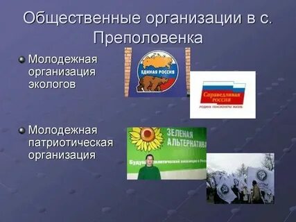 Общая политическая организация это