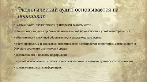 Аудит окружающей среды