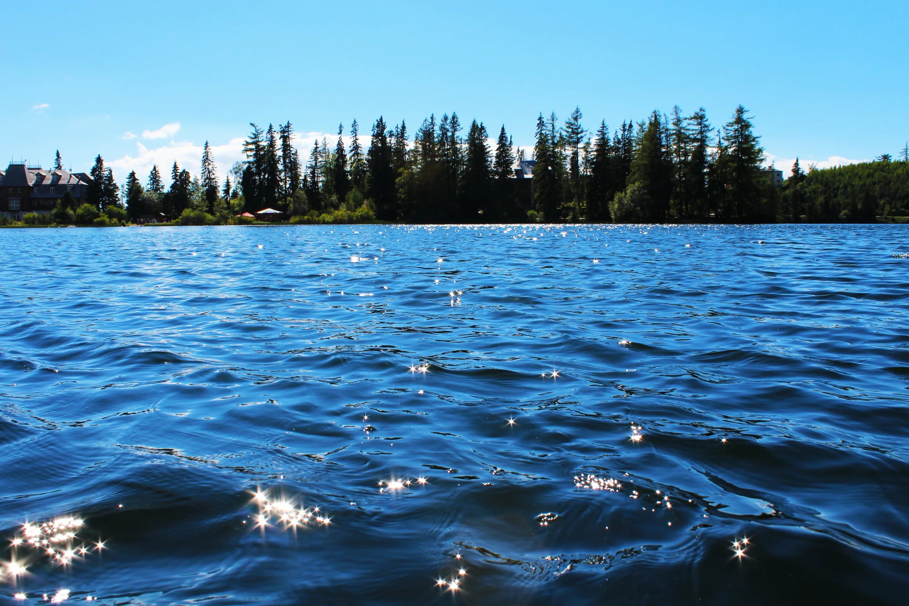 Вблизи края воды