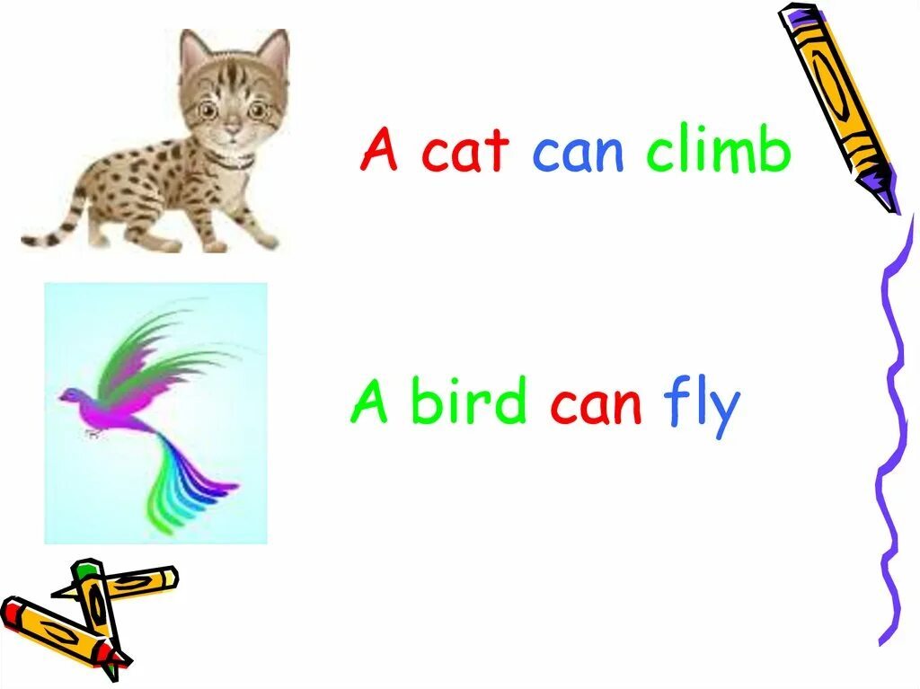 Can climb but it. Can climb but it