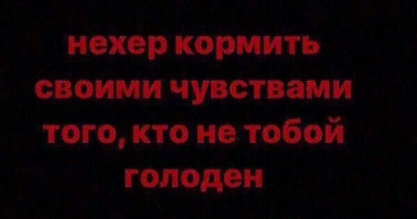 Статусы про самолюбие. Не корми своими чувствами того кто не тобой голоден. Не кормите своими чувствами того кто голоден не вами. Демотиваторы дети смешные. Корми не того кто голоден.