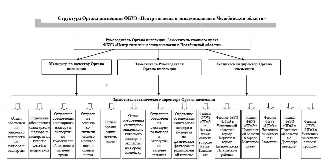 Структура центра гигиены и эпидемиологии в России. Организационная структура ФБУЗ центр гигиены и эпидемиологии. Структура органа инспекции ФБУЗ. Ведомственная принадлежность центра гигиены и эпидемиологии. Фбуз центр гигиены и эпидемиологии челябинской области