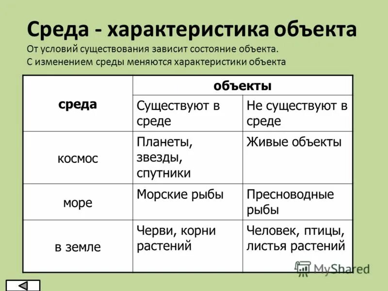 Среда существования объекта. Среда существования объекта это в информатике. Среда существования объекта человек Информатика. Действия объекта пример.