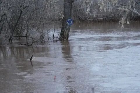 Уровень реки урал в 2023 году
