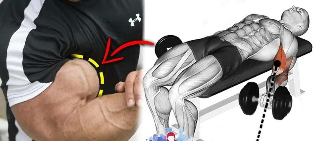 Подъем гантелей на брахиалис. Упражнения на внешнюю головку бицепса. Упражнения на внешний бицепс. Занятия с гантелями на бицепс. Упражнения на внешний бицепс.