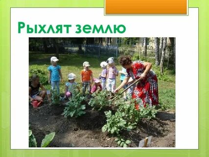 Деятельность человека летом