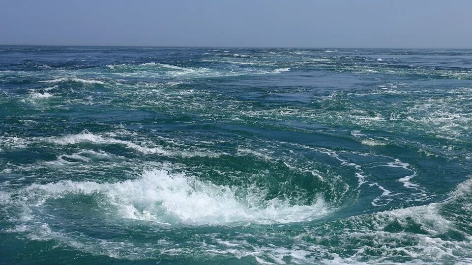 Воды тихого океана
