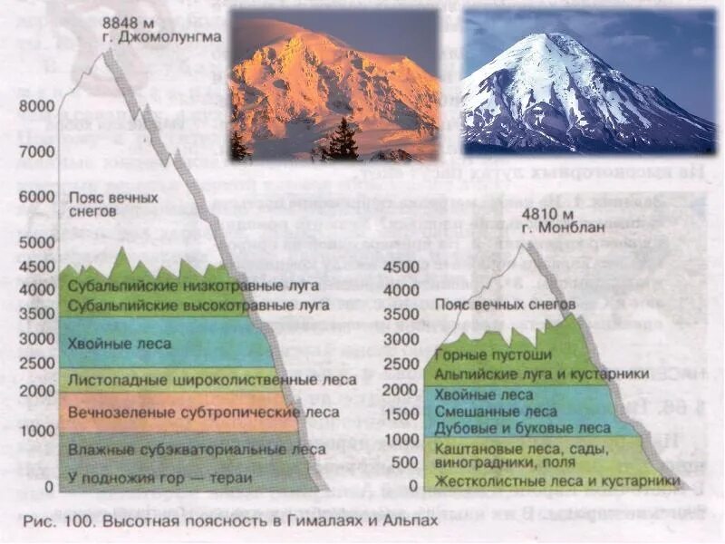 Сравнить гималаи и анды. Высотная поясность горы Джомолунгма. Высотная поясность Тянь Шаня. Высотная поясность Гималаев. Гора Денали Высотная поясность.