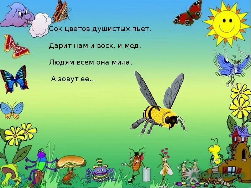Насекомые задания для дошкольников. Насекомые для дошкольников. Загадки про насекомых. Многообразие насекомых видеофильм. Насекомые презентация для детей.