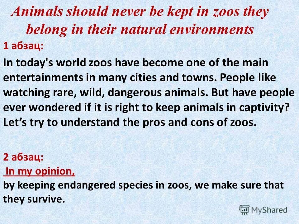 Pros and cons зоопарка. проект по английскому wild animal. Keeping animals. -what your attitude to keeping animals in the zoo is. Keeping animals.