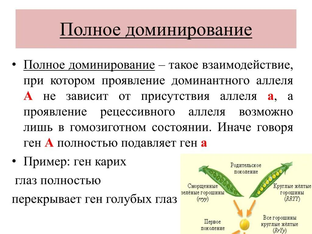 Полное доминирование мужчин. Генетика полное и неполное доминирование. Полное доминирование это признаки наследования. Полное доминирование генетика. Полное доминирование это в генетике.