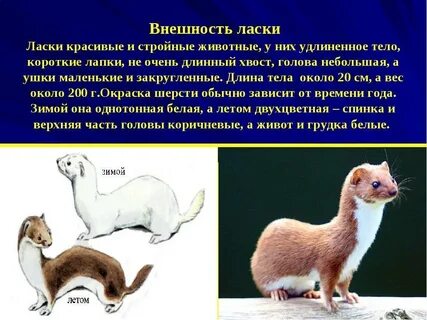 Забота ласка и опека 4 буквы