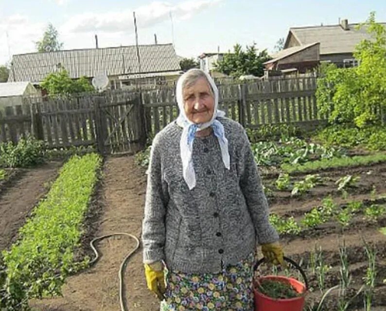 Бабушка поллета. Бабушка в огороде. Старушка на грядках. Бабки в огороде. Бабки на грядках.