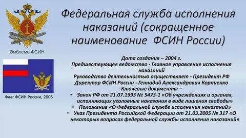 Уголовно исполнительная система 44 фз