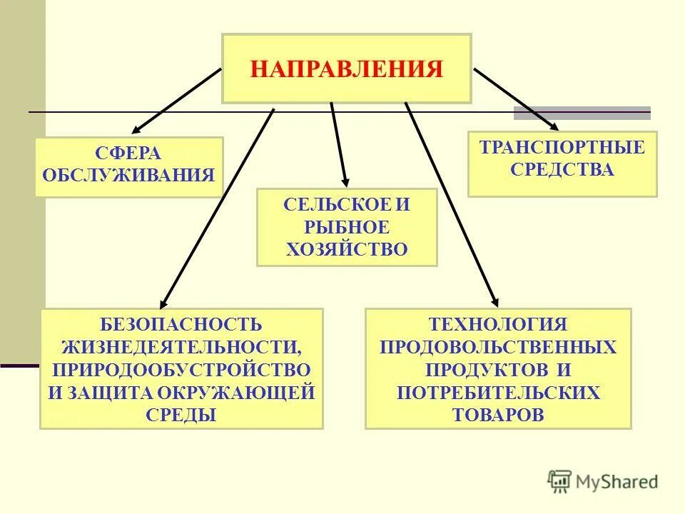 основные направления развития малого бизнеса. виды услуг сферы обслуживания. направления сферы услуг. направления сферы услуг. схема сферы обслуживания.
