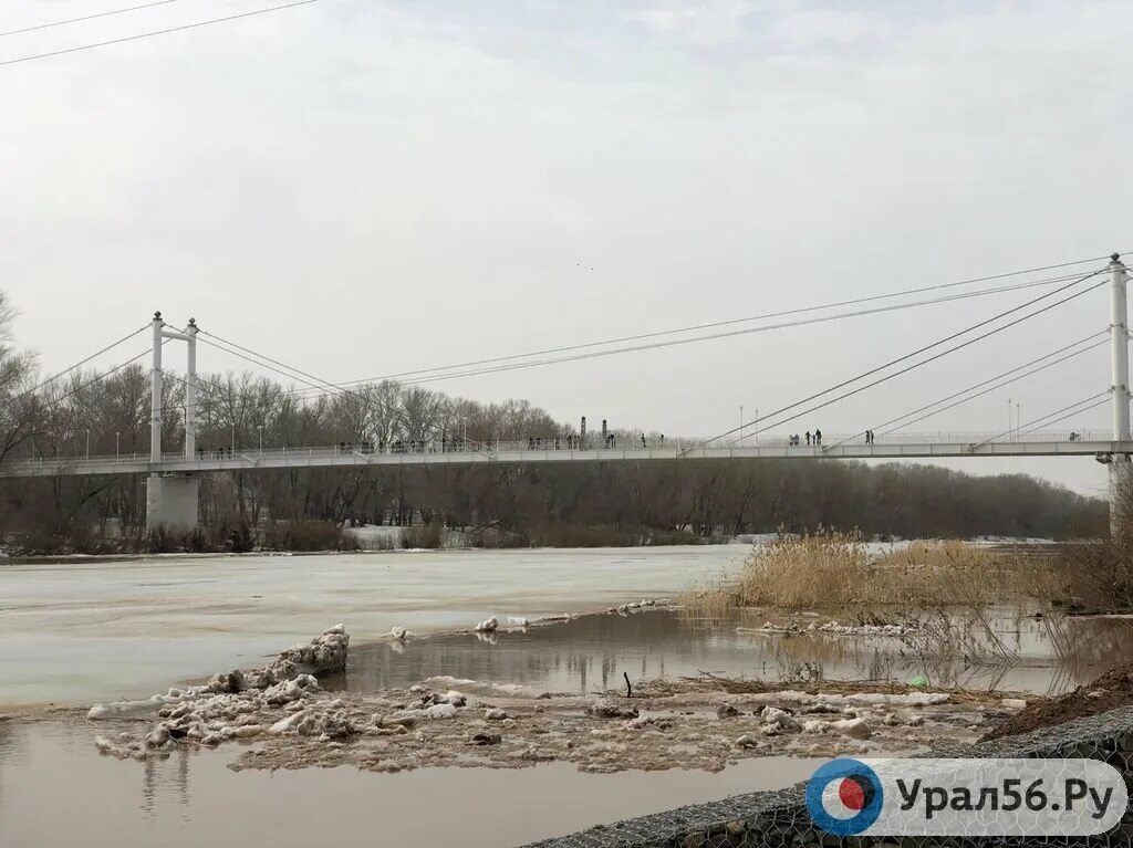 Оренбург какой уровень воды в урале сегодня. Река Урал урал56. Река Урал Оренбург. Оренбург река Урал 2023. Река Урал Оренбург в ноябре.