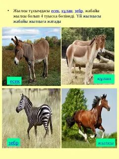 Жоғары технологиялық порно көру