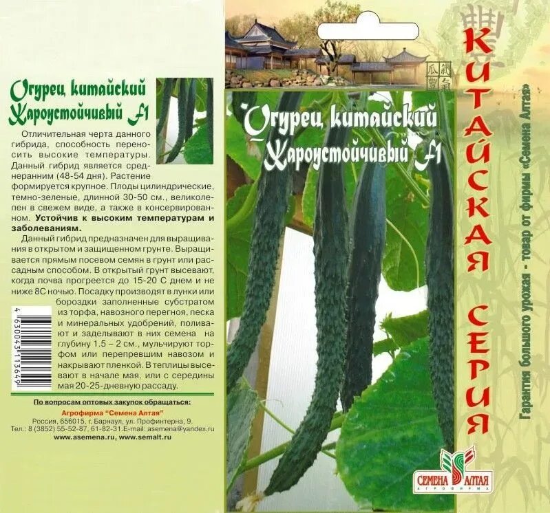 Посадка китайских огурцов. Огурец китайский жароустойчивый f1. Огурец китайский холодоустойчивый f1. Огурец китайский змей f1. Огурец китайский Император f1.