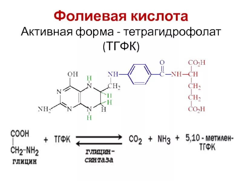 Витамин в6 с фолиевой кислотой инструкция. Производные кофермента фолиевой кислоты. Витамин b9 структурная формула. Витамин б9 кофермент. ТГФК кофермент витамина.