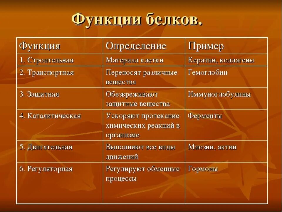 Структура и функция пример