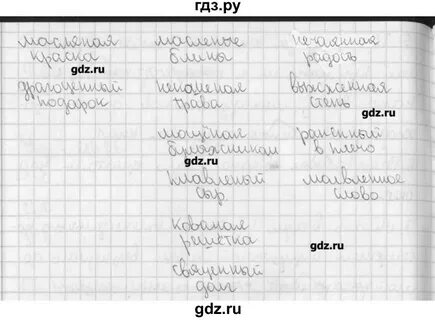 Русский язык 7 класс рыбченкова 221