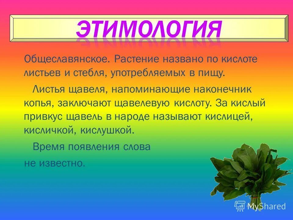 применение щавелевой кислоты. щавелевая кислота в щавеле. листовой кислота. с какими карбоновыми кислотами вы часто встречаетесь в жизни. карбоновые кислоты в природе.